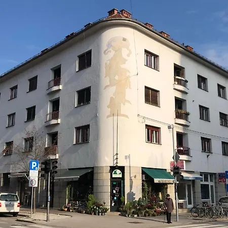 Old Spacious In The Center * Любляна