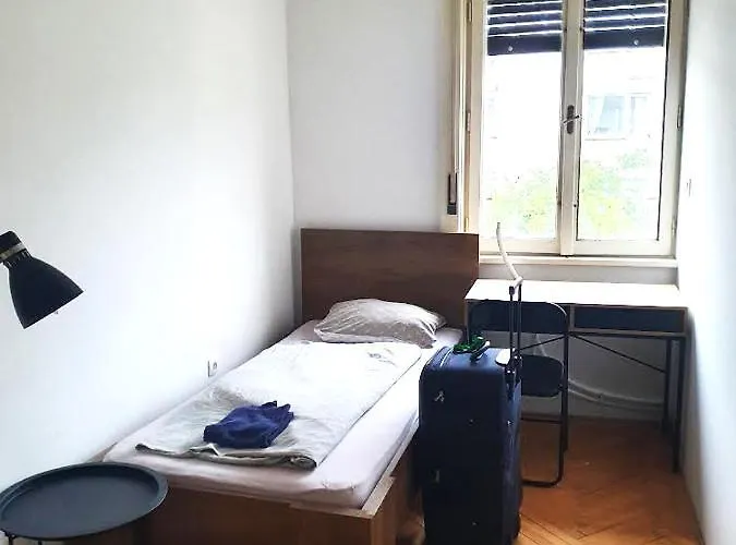 Old Spacious In The City Center * לובליאנה