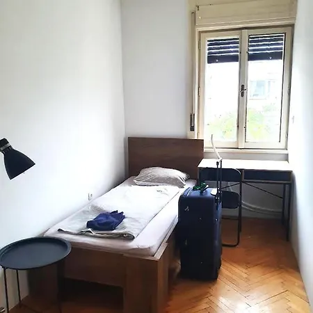 Old Spacious In The City Center * לובליאנה